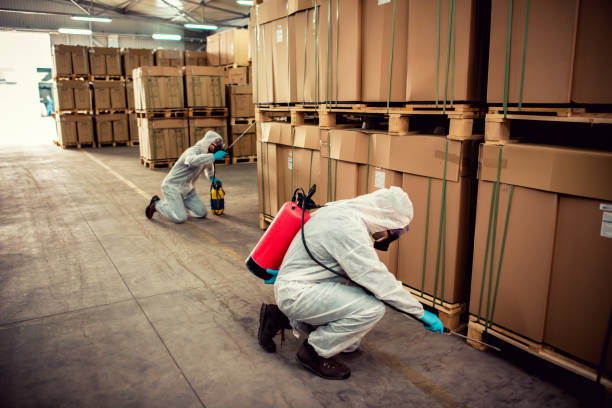 Best Pest Prevention Services  in Key Largo, FL