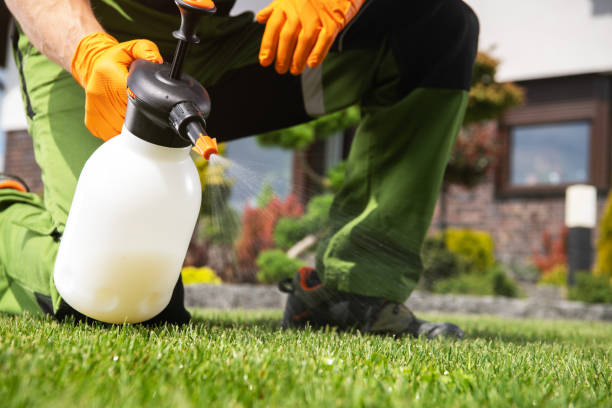 Pest Prevention Services in Key Largo, FL