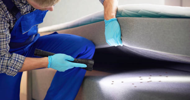 Best Exterminator Services  in Key Largo, FL