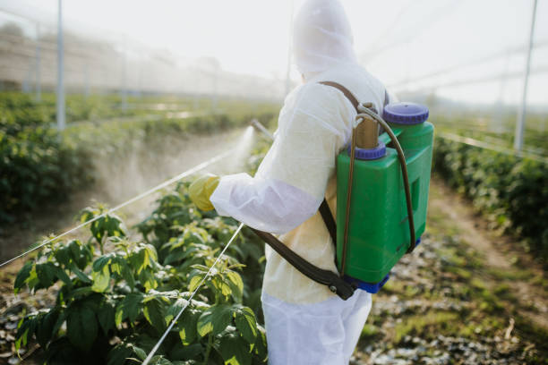 Best Emergency Pest Control  in Key Largo, FL
